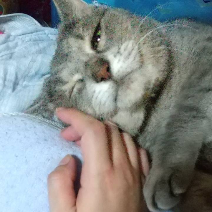 14d718da d21c 43e8 8ba1 51b521fb184d 1632334850096