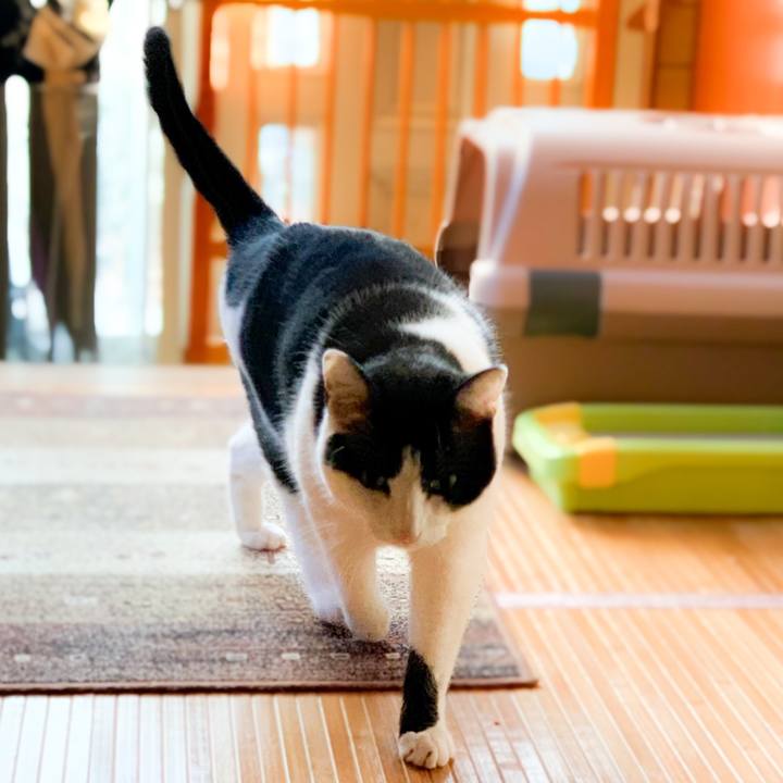 14d7684e 9c5e 4ded 9936 b9c2dbbda834 1583029106361