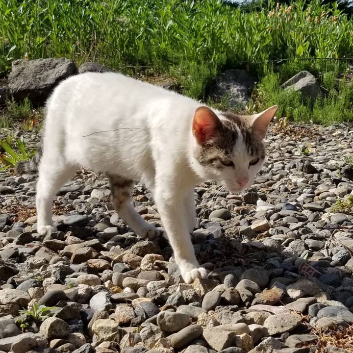 14d77cf6 22c2 4649 8a18 c3d7aea5e368 1558917224329