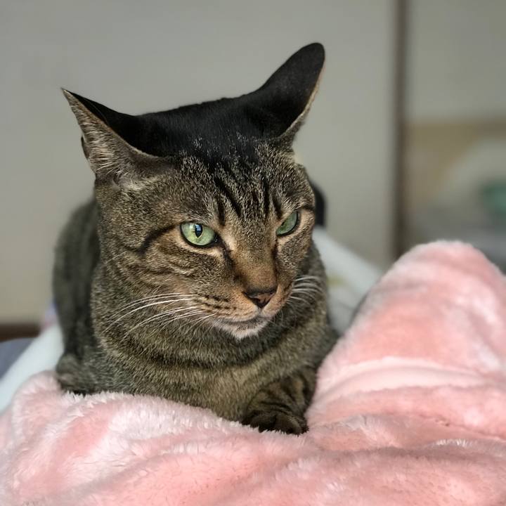 14d7c2d3 f6c5 4193 93a4 e860ff231f31 1515547634324