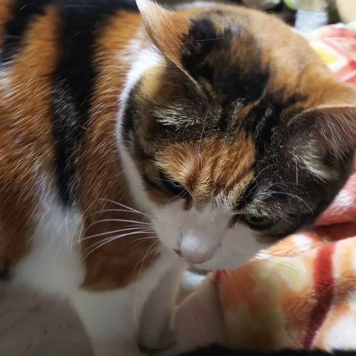 14d7e473 5e69 42bd 8f33 c2cececdee1b 1559857427719