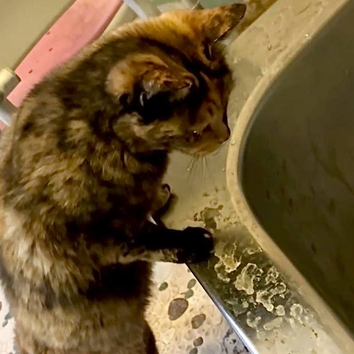 14d82d47 4188 44b7 82bc a65703a8ec6e 1746908508639