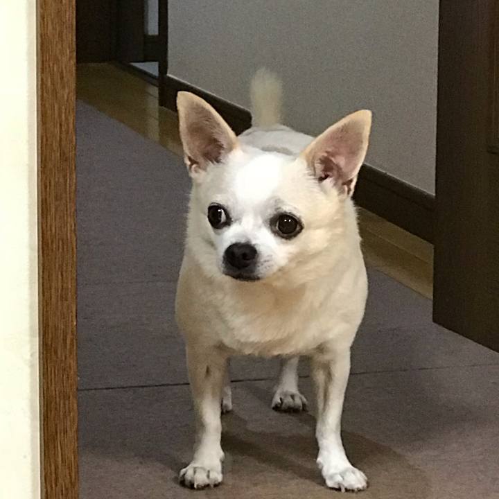 14d833d3 ef69 4289 b566 bf5a612d7d41 1538390467170