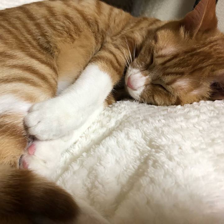 14d85348 cd78 493e 9758 efbee350d303 1550569202874