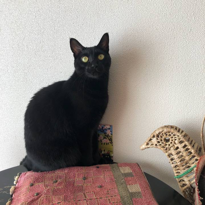 14d88187 622c 4577 b617 3be3019dbb72 1543113969204