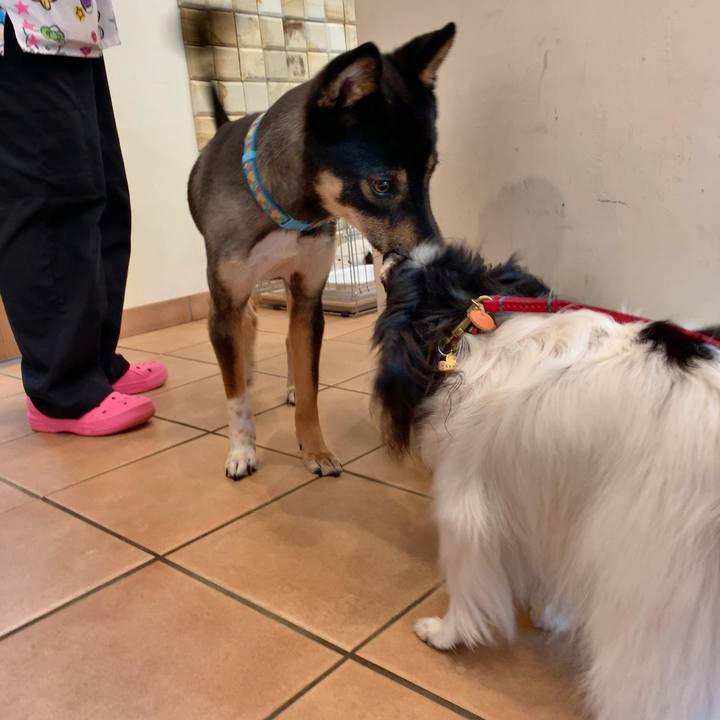 14d887f3 80d6 441b ad0d 5791c90aa25d 1558319985861