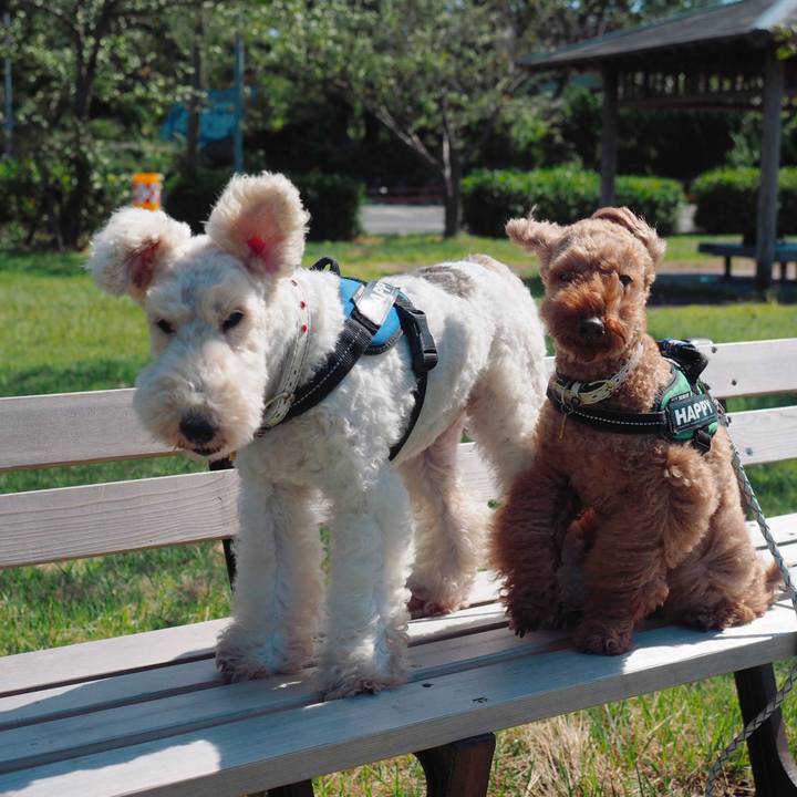 14d8ab76 08ec 41d8 8cb8 aa35af639eab 1570488268681