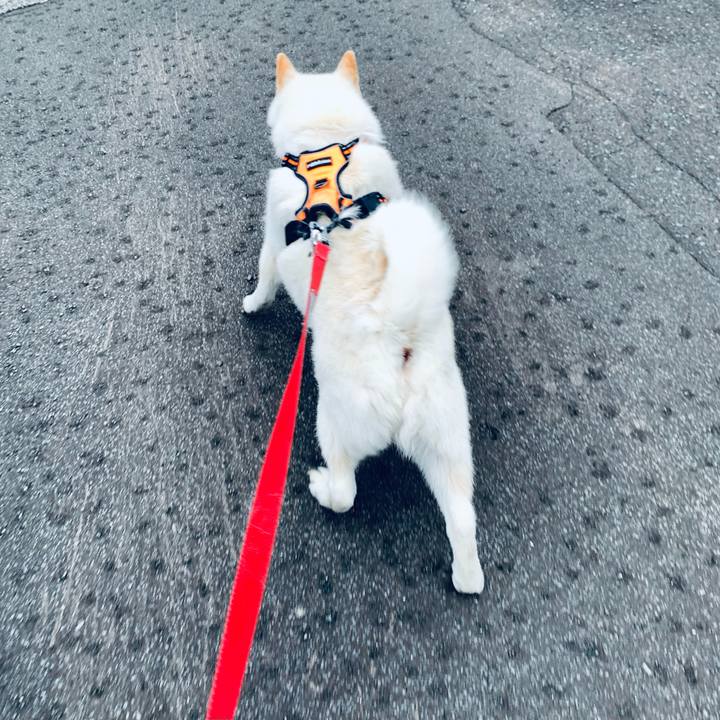 14d8b213 3d1d 4a3d ae8d 21a5a9b05239 1620881124039