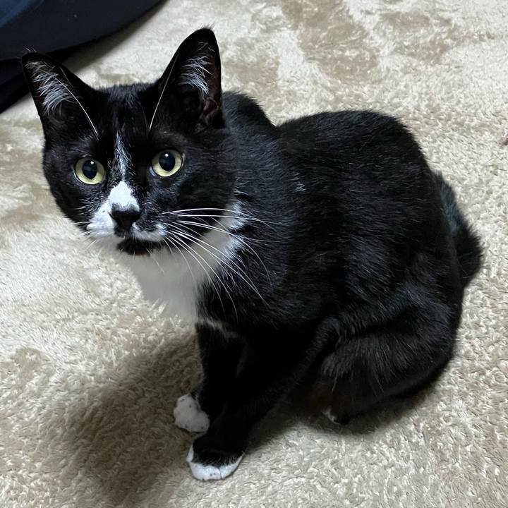 14d8c14a 55ee 4bb8 923e 29e3c7d2331c 1688958985199