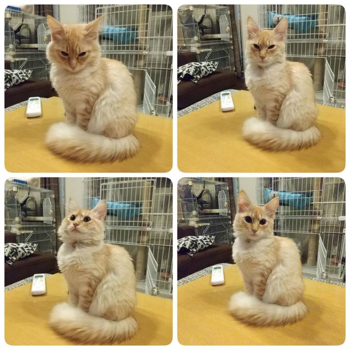 14d8d969 f911 4c81 849f d8bf4e2576fa 1610573663437