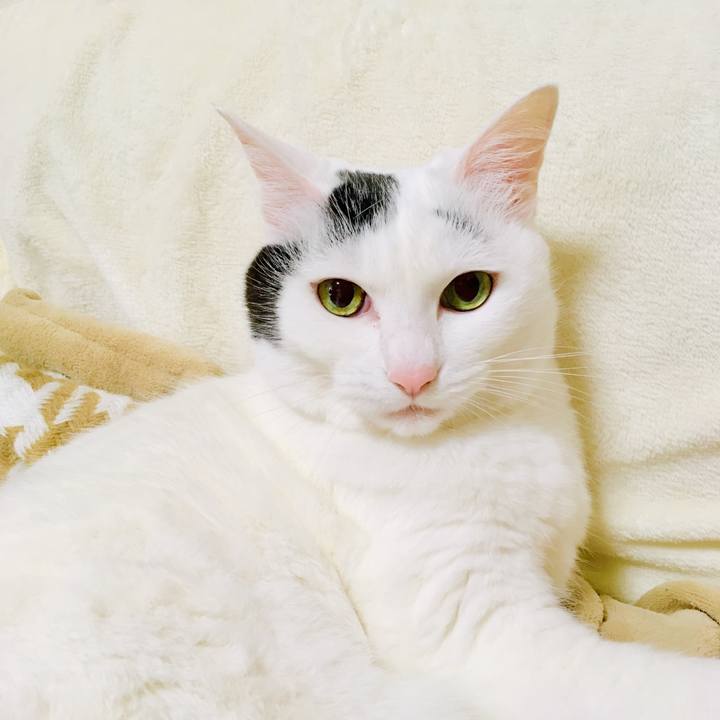 14d91ffb f8c4 4fa1 89e5 f1057494fc6a 1562737307811