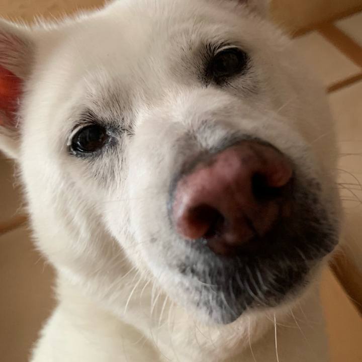 14d94198 b5e6 4c7c 8ae0 6443c18493b2 1563149948063