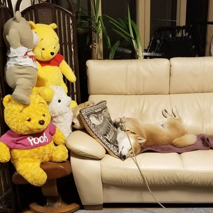 14d9587f 97ef 4a43 b437 0cec3548b9bb 1563624497233