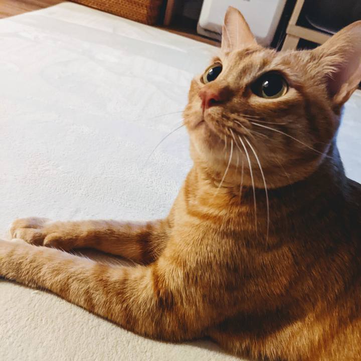 14d95d6d 7467 423e 93fa 17135d8746f1 1640943781248