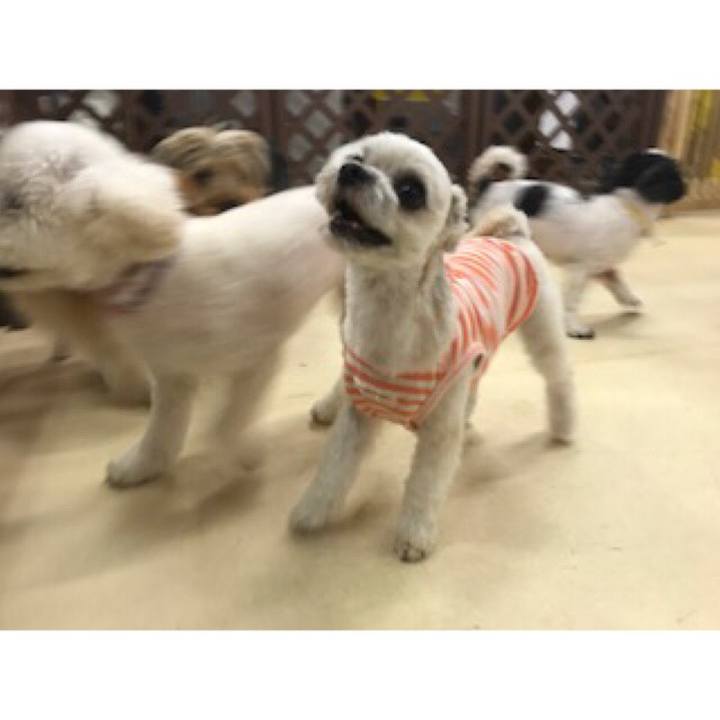 14d96f16 7fd3 4d61 be7e 6676cd22856b 1531218172668