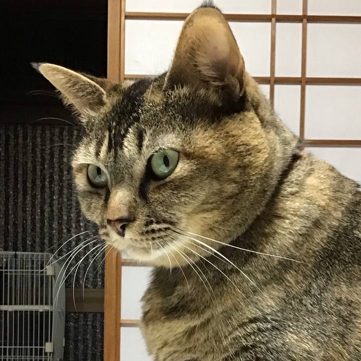 14d9849f 4ec9 4a70 82e0 c70f1e111fbc 1703148947037