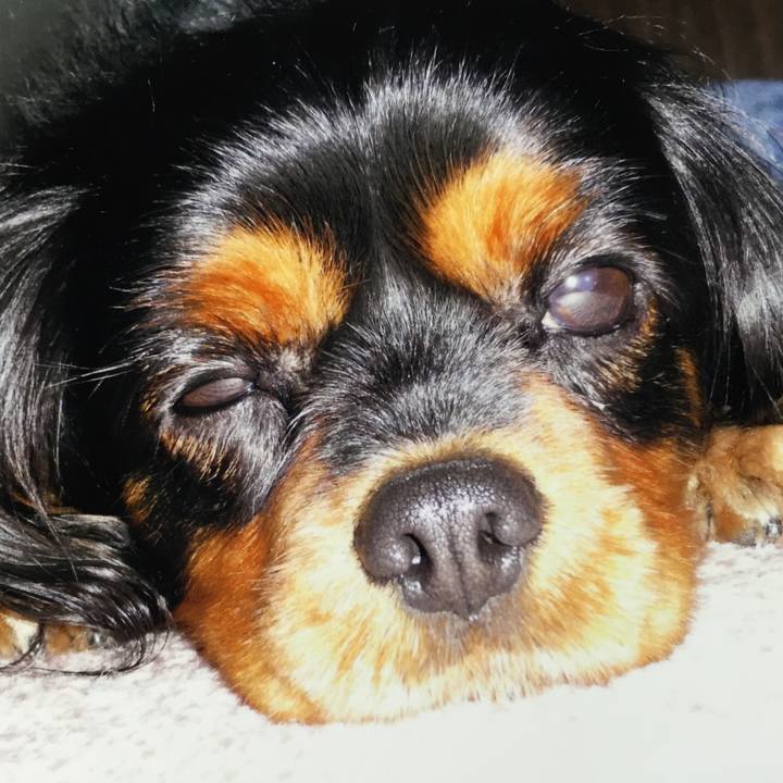 14d98637 6a36 4ced 9684 a85d61658745 1586577421831