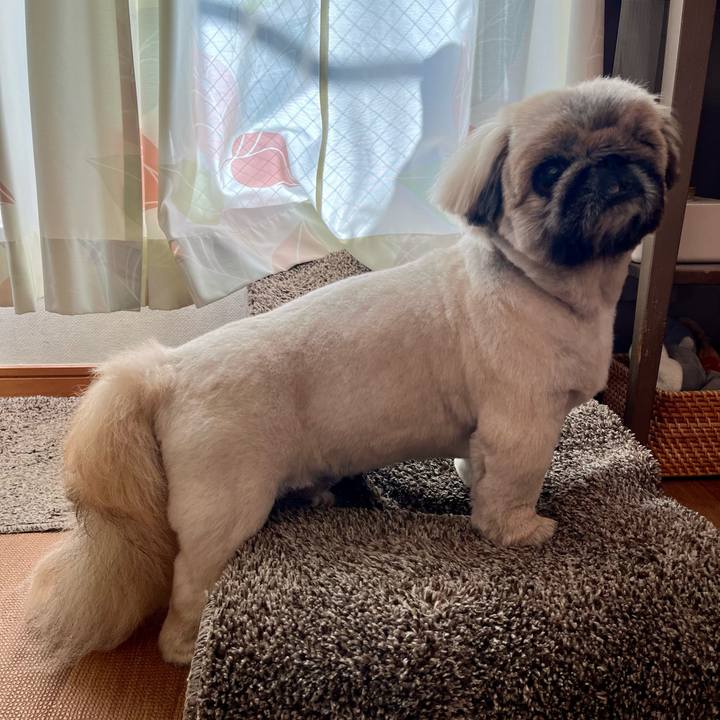 14d9c3d8 a9f2 43c7 95ba a053caa27dce 1736402052172