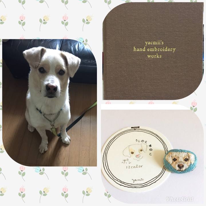 14d9f749 bda9 4b72 aa71 d8519cf4ecd4 1530766372648