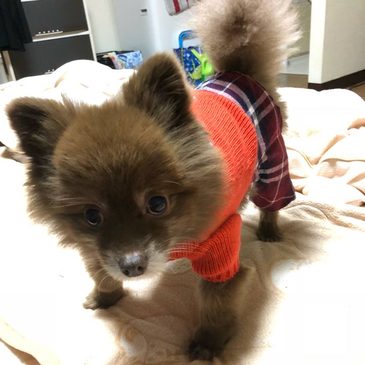 14da12eb 375d 46bd ae9f a93ad1e3f734 1541295920794