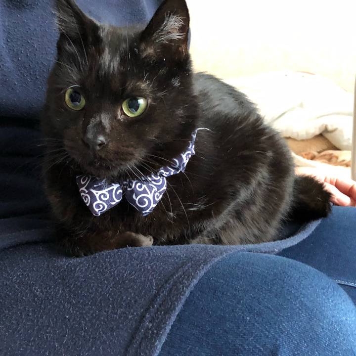 14da20c9 0af6 44c1 addb 85c003a19b90 1576995220887