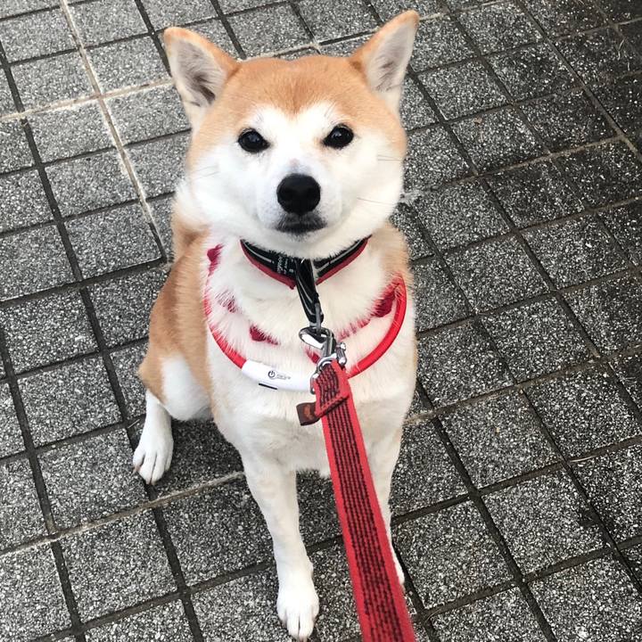 14da409e 9b08 4374 8c41 6a68461e2424 1578617299024