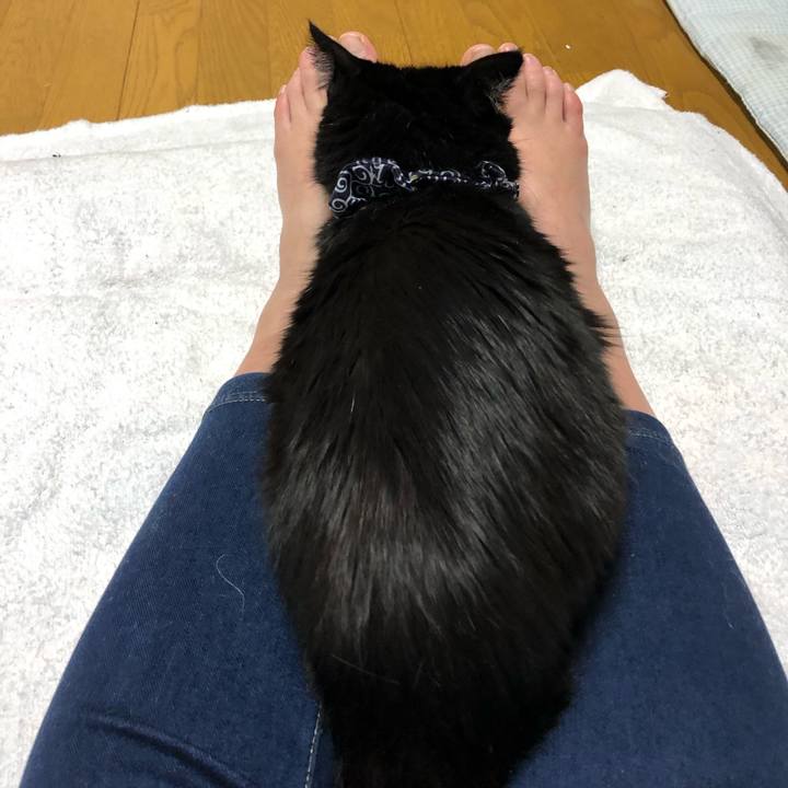 14da52ad 49e0 4d5b beae e45b89464ac3 1578662026231