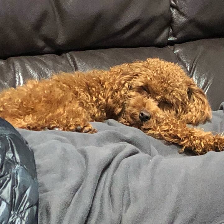 14dadb96 855b 4dab aa12 883f73d523fc 1516111894116