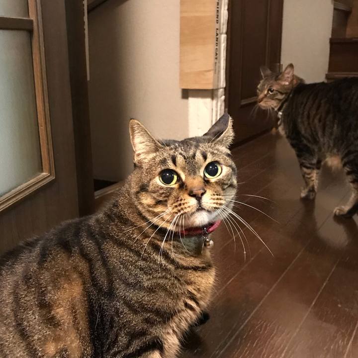 14dae6d7 59bd 4792 af89 56b495477bc9 1592831184745