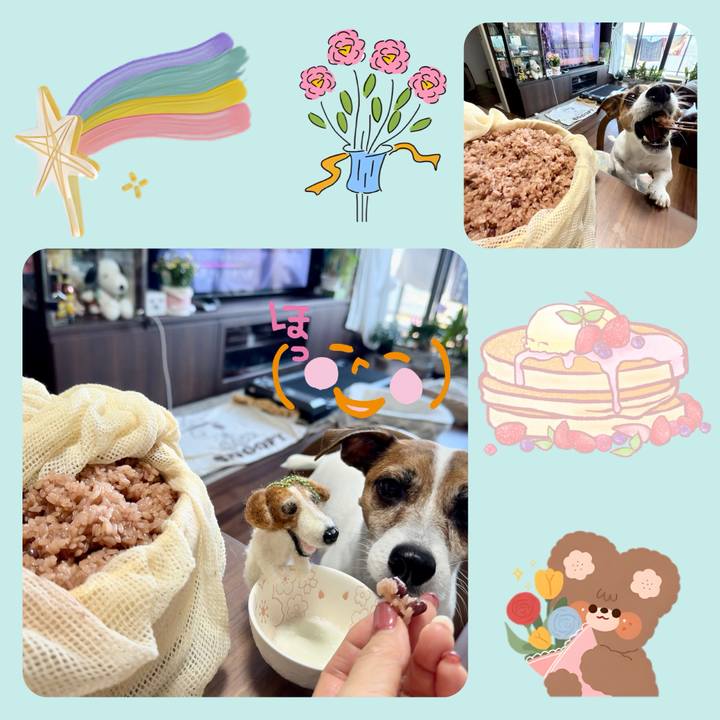 14db0c09 e804 41bc b333 7ded0dfe5b3b 1770625396073