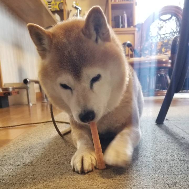 14db0f41 499d 44d0 9094 699c6a0fe42b 1709421373213