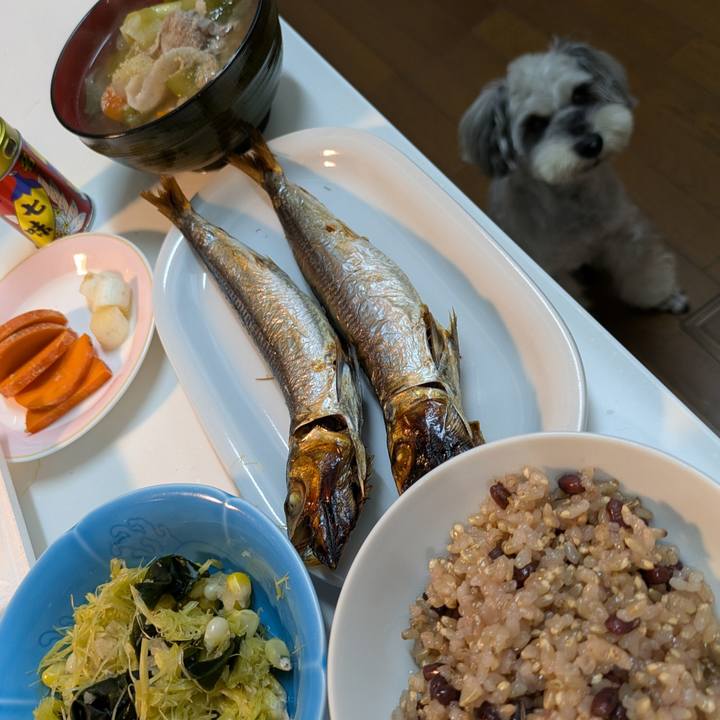 14db3a86 d6ed 4e6c a7a4 fb10c4caf732 1763897205347