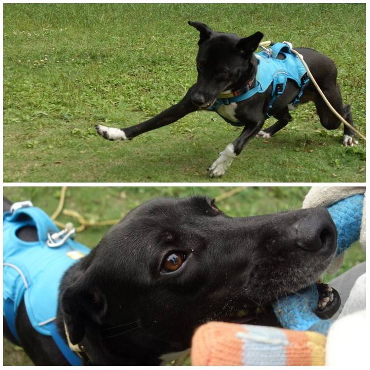 14db4dab e617 471f acc7 0ea40254f058 1621813667842