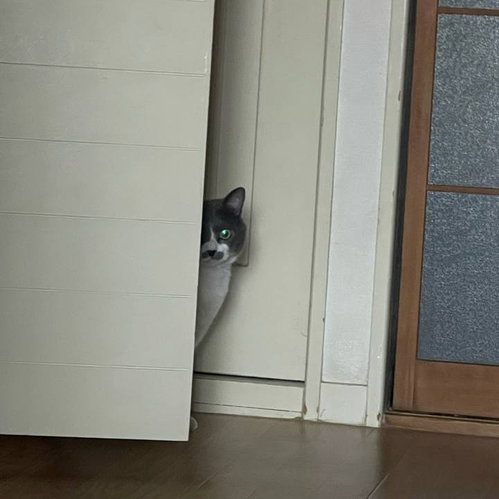 14db7503 3c7c 404b 850e e47f956ea048 1718323350145