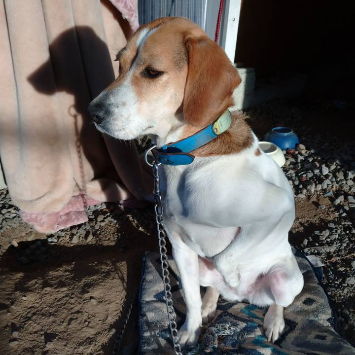 14db9462 04c7 4c4d b0aa f2fc7b614826 1613289166386