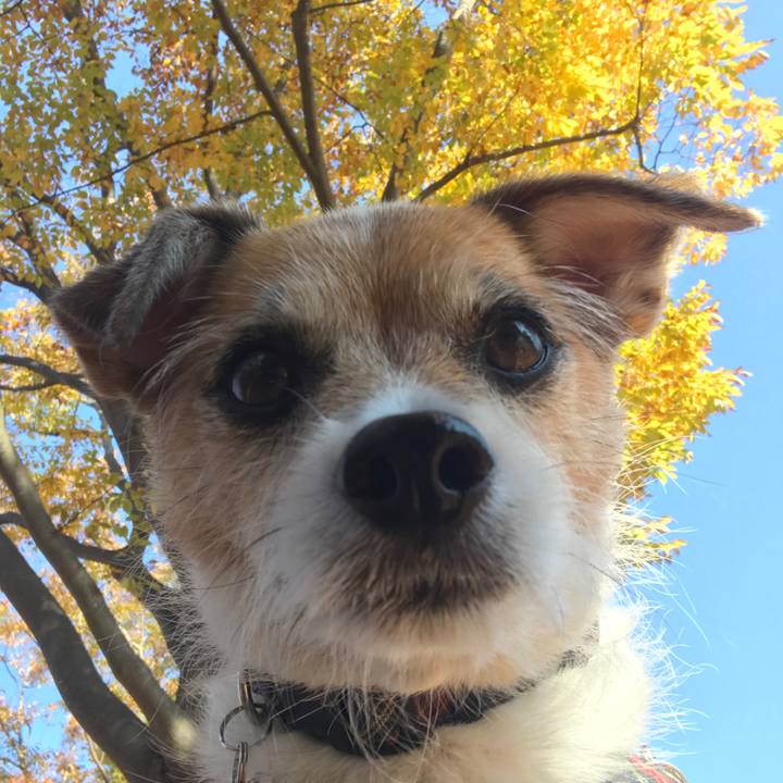 14dbaaf3 ded1 4e5a 940e 07d5c4bd2082 1605416406413