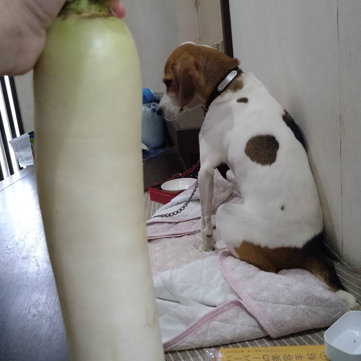 14dbade5 6080 47ff b8cb 81633152dd5e 1630658242487