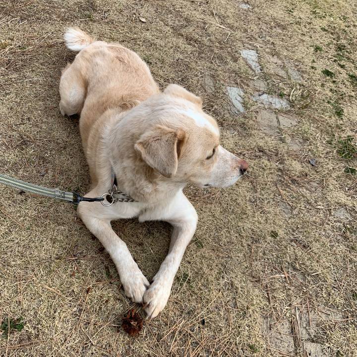 14dbcb86 8b34 441c a93d 678953cdf052 1552952622376