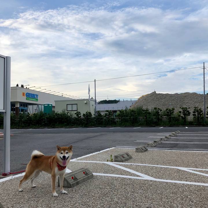 14dbd213 7962 437c 9ff3 799190b76981 1535453965573