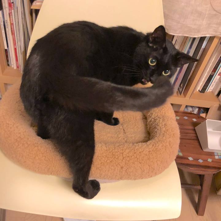 14dbdd54 736b 4d99 bcb9 36398f2bccc5 1524749709635