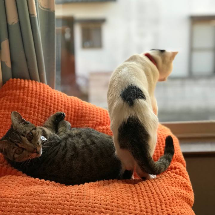 14dc08db 30b2 431a 9c2f 50fa7bebc3a4 1574323662758