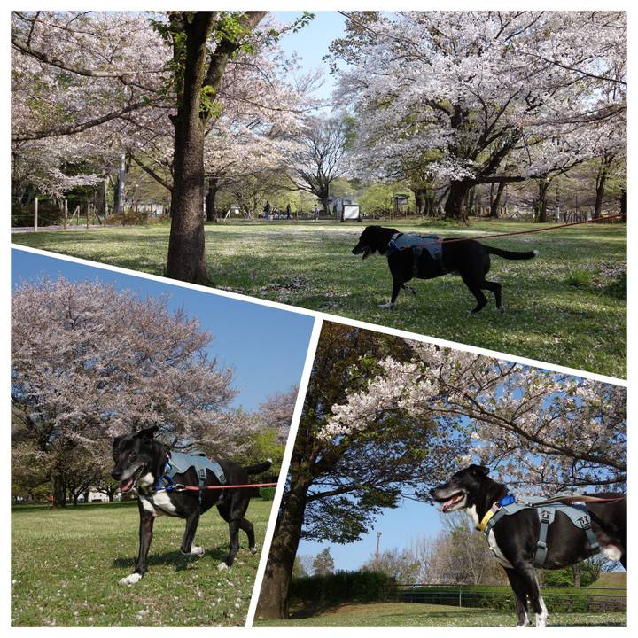 14dc1075 2e43 4b1c 8bd6 64c02a1b9ea8 1744417708368