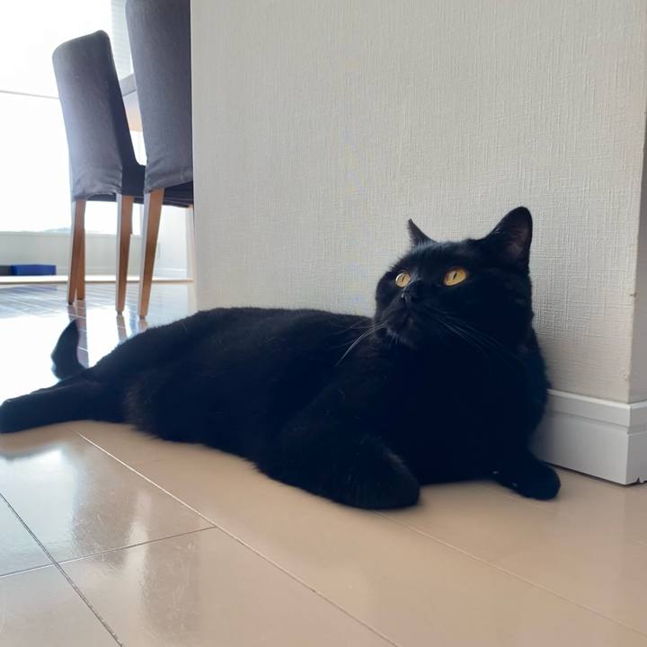 14dc23b5 31fd 464e 8fd7 49b9fe65e766 1652514925488