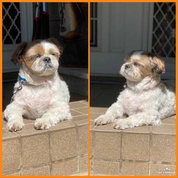 14dc34ec 900e 4db4 917d b64c9c022c75 1632101994430