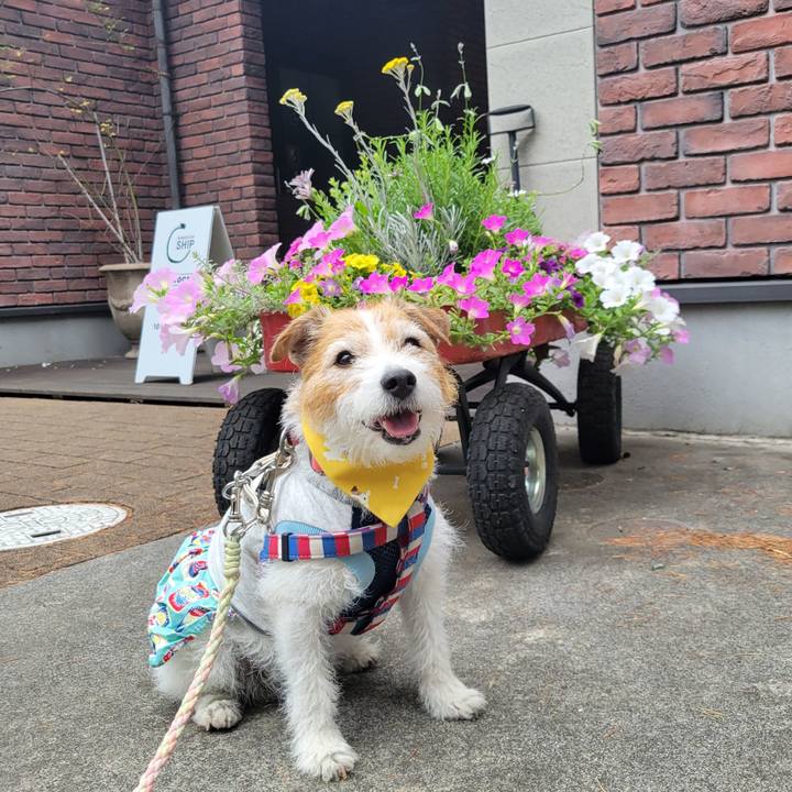 14dc838c 9e7b 446a 85f5 e320652f2bad 1748064954748