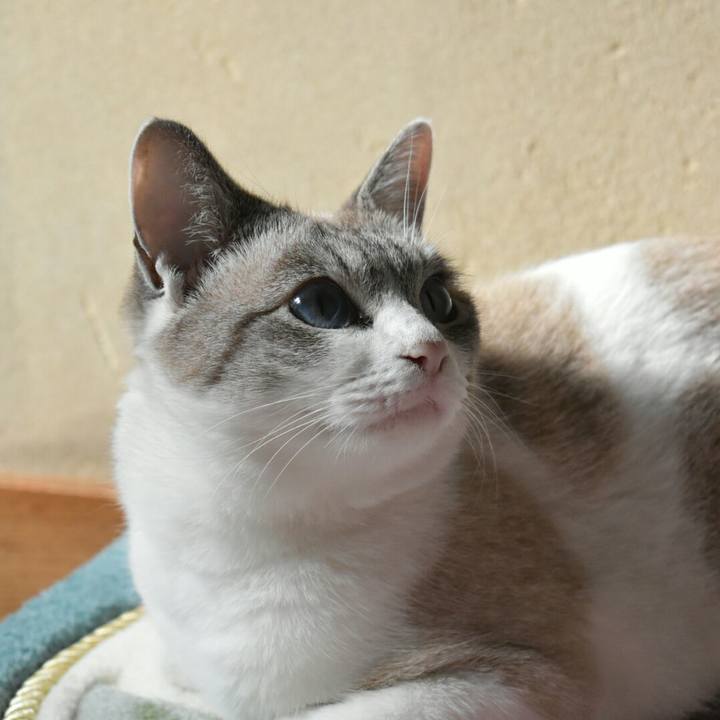 14dc90fd 00d7 4654 add8 733aaf2af825 1510712060331