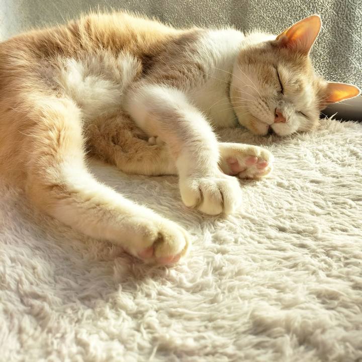 14dcba02 1370 443a 9e04 28610c677a6e 1666306201287