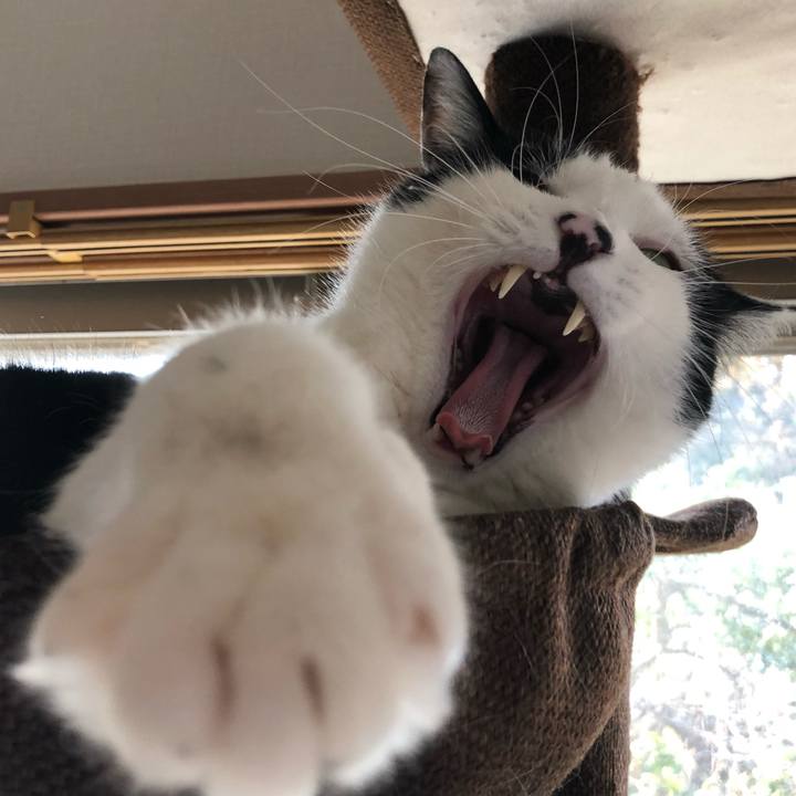 14dcd870 7846 4bf1 88d9 912a6a05481e 1553668605800