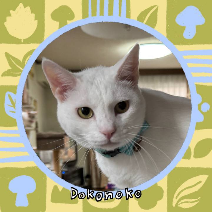 14dcd9f6 2493 4b1a 9295 f78c853dffb5 1761459920690