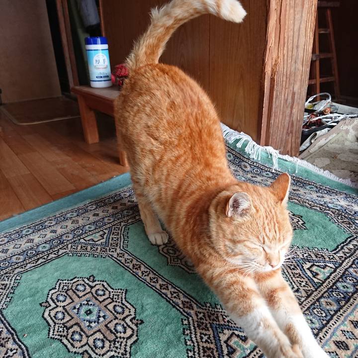 14dceb35 8d4b 4434 ba65 a7826bcff81a 1583465988771